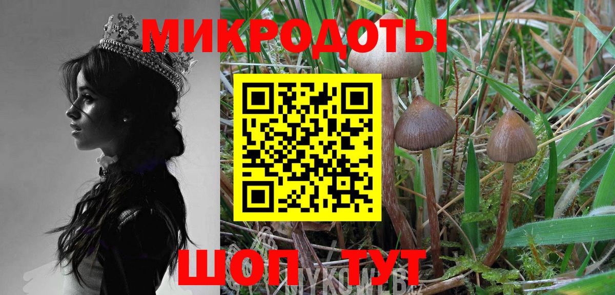 Усолье-Сибирское  Галлюциногенные грибы мухоморы  Вход с VPN 